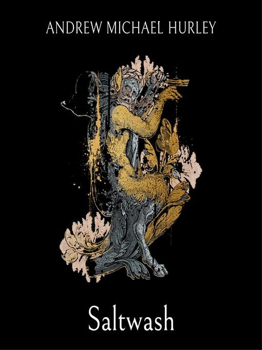 Cover image for Saltwash